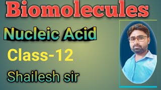 Nucleic acid Biomolecules in chemistry Class 12Shailesh sir [upl. by Issie]