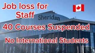 Sheridan College  40 courses suspended lay off No more international Students sheridancollege [upl. by Lalittah123]