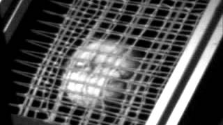 Tennis racket with spaghetti strings inpacting tennis ball [upl. by Bennet211]