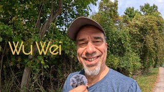 Wu Wei  Letting Go [upl. by Mindi]