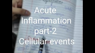 General pathology lecture8hindi  Acute inflammationpart2 cellular events [upl. by Imar]