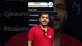 What is Hydrolytic Enzymes  shorts biology hydrolyticenzymes enzymes animalcells [upl. by Gemini]