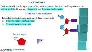 STRUCTURE OF A NUCLEOTIDE [upl. by Ayekel]