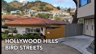 Driving Hollywood Hills The Bird Streets [upl. by Lankton]