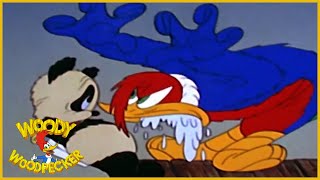 Woody Woodpecker  Knock Knock  Woody Woodpecker Full Episode  Old Cartoons  Videos for Kids [upl. by Edrick]