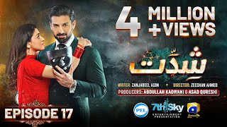 Shiddat Episode 17 Eng Sub Muneeb Butt  Anmol Baloch  Digitally Presented by PEL  3rd Apr 2024 [upl. by Lerner]