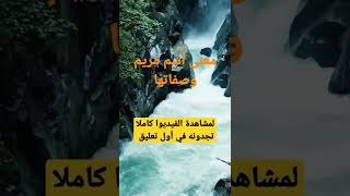 معنى اسم مريم وصفات حاملة هذا الاسم  shorts معنىاسم معانيالأسماء [upl. by Elehcar]