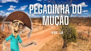 Pegadinhas do Mução  As Mais Antigas I Vol18 [upl. by Oirasec]