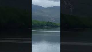 GIANT 5m Saltwater Crocodile Stalking Boat  North Queensland  shorts [upl. by Irafat]