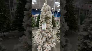 Shop Christmas Trees  At Home Stores [upl. by Aillicirp670]