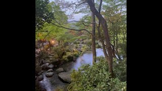 Kyoto Travel in 1 Minute ❤️😉🚃🏯🍘 japantravelvlog kyoto explorejapan [upl. by Atsev372]