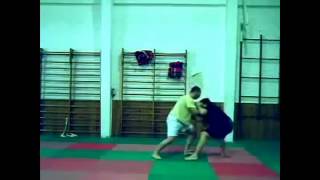 Cheng Man Ching Push Hands Pattern [upl. by Wilcox832]