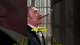 Blazing Saddles 610 Movie CLIP  Mongo Comes to Town 1974 HD [upl. by Ehrlich330]