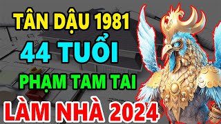 Tân Dậu 1981 44 Tuổi Phạm Tam Tai Có Xây Nhà năm 2024 Được Không Xây Thế Nào Tốt Nhất [upl. by Elrae]