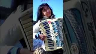 Wiesia ACCORDION Shorts Czerwone jagody accordion polka folk [upl. by Uyerta822]