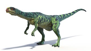 Chilesaurus Dinosaur [upl. by Assyla]