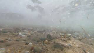 Underwater GoPro video of the rocks at Herring Cove Beach in Provincetown [upl. by Ojytteb]