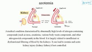 azotemia [upl. by Lilyan]