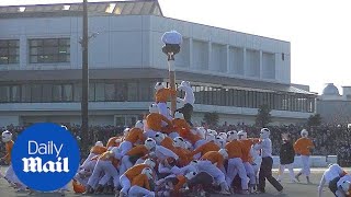 Bizarre Japanese sport where men fight to get to the top of pole  Daily Mail [upl. by Novahc]