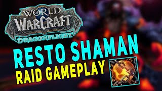 TRINKET DROPPED Resto Shaman Raid Gameplay  Pug Raid Heroic Rashok  Dragonflight 101 [upl. by Ardeth]