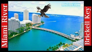 Miami River and Brickell Key by Drone [upl. by Moclam]