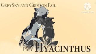 Hyacinthus  PMV [upl. by Harhay693]