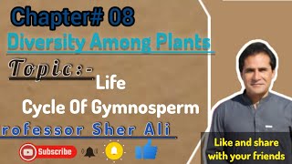 Life cycle of Gymnosperm  Kingdom Plantea by Sher Ali Sir [upl. by Wendell]