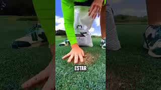 ¡El tipo volvió verde el lugar seco😮 shortsvideo [upl. by Hollah]