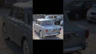 Fiat 1100 d [upl. by Welcy849]