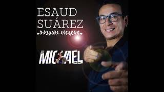 MIX ESAUD SUAREZ  DJ MICHAEL Vol 2 Duele el AmorMix EnlaceEmbrujo amp Más [upl. by Liliane]