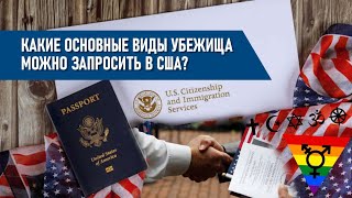 Какие основные виды убежища можно запросить в США [upl. by Bartolemo]