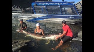 Girl sets HUGE Idaho Sturgeon Fishing Record [upl. by Sewel462]