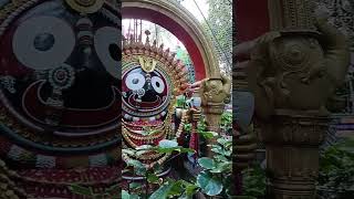 Jay Jagannath [upl. by Latterll]