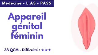 QCM Appareil génital féminin 38 QUIZ  Niveau difficile [upl. by Broddie]