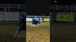 Full barrel run💖horse equestrain barrelracing rodeo fypシ゚ subscribe viralshort [upl. by Nitsua798]