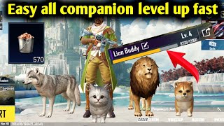 how to bgmi Easy all companion level up In Bgmi  How To Complete Best Companion level up pubg new [upl. by Clover]