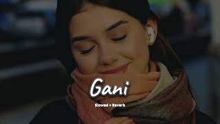 Gani slowed  reverb Akhil  new Punjabi song 2024  KL Lofi [upl. by Kegan]