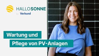 Wartung und Pflege von PV Anlagen [upl. by Johm872]