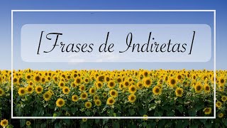 Frases de Indiretas [upl. by Steffane257]