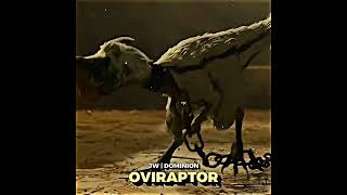 Moros Intrepidus vs Oviraptor [upl. by Aileen]