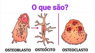 Osteoblastos Osteoclastos e Osteócitos [upl. by Anitahs774]