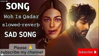 SlowedreverbNew Song 2024  New Hindi Song  Woh Is Qadar New Sad Song  Kartik Aaryan [upl. by Reinold739]