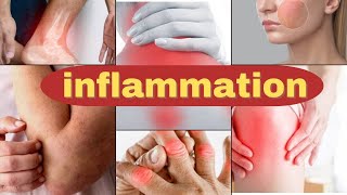 The Secrets of Inflammation Unlocking Your Immune Response [upl. by Bartholomeo131]