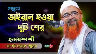 হুজুরের ভাইরাল হওয়া দুটি শের  হৃদয়স্পর্শী মরমি শের  আপনি শুনতে পারেন Allama Khurshid Alam Kasemi [upl. by Gnilrets]