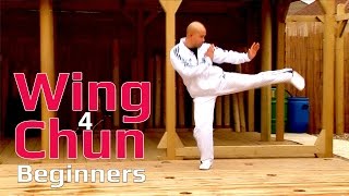 Wing Chun for beginners lesson 7 basic leg combination exercise moving forward with single kick [upl. by Harneen916]