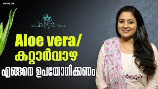 മുഖത്തും തലയിലും കറ്റാർവാഴ എങ്ങനെ ഉപയോഗിക്കണം Amazing Benefits amp Usage of Aloe Vera for Skin amp Hair [upl. by Atalanta]