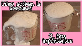 ¿Cómo activar la levadura seca 2 tips muy importantes👌 [upl. by Emsoc291]