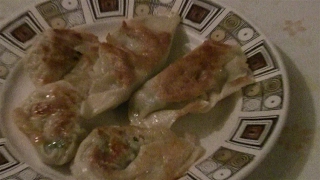 Homemade Chinese Pan Fried Dumplings 餃子 Jiaozi Pot Stickers Making Homemade Dumpling Wrappers [upl. by Zzaj]