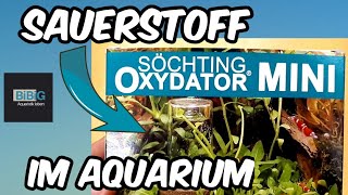 Um ausreichend Sauerstoff im Aquarium zu haben  der Oxydator MINI  Aquarium Technik  BiBiG [upl. by Dustan]