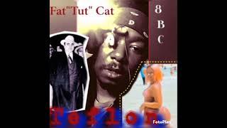 Fat Cat Cherry Hill [upl. by Park]